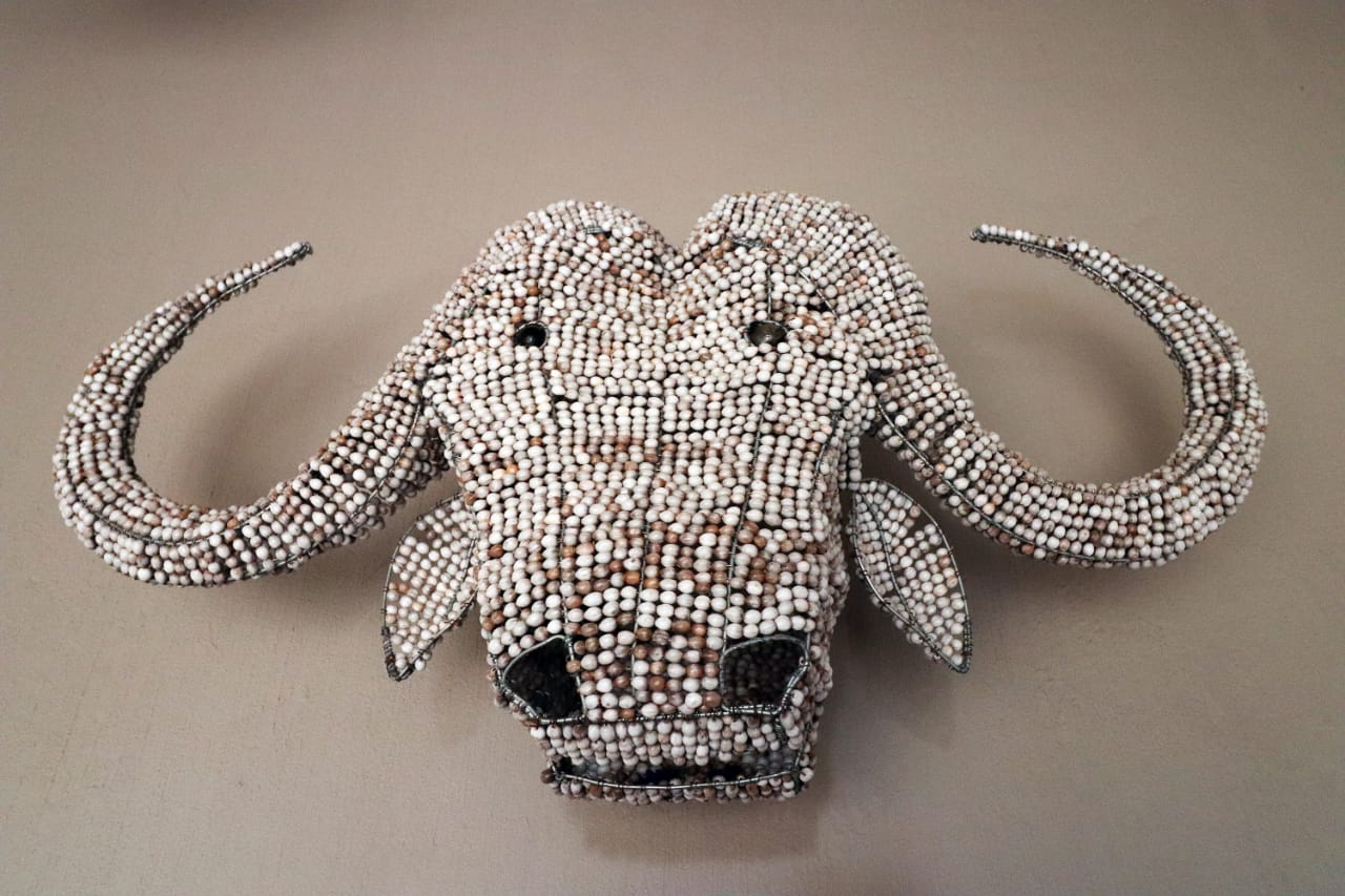 IMG-20210530-WA0088 IMG-20210530-WA0088